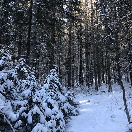 Kungsbergetnatur Jarbo Екстер'єр фото